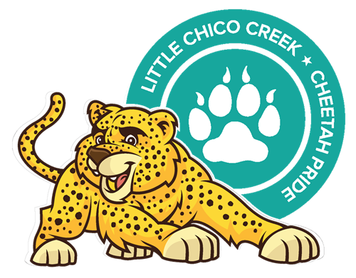 Little Chico Creek Home