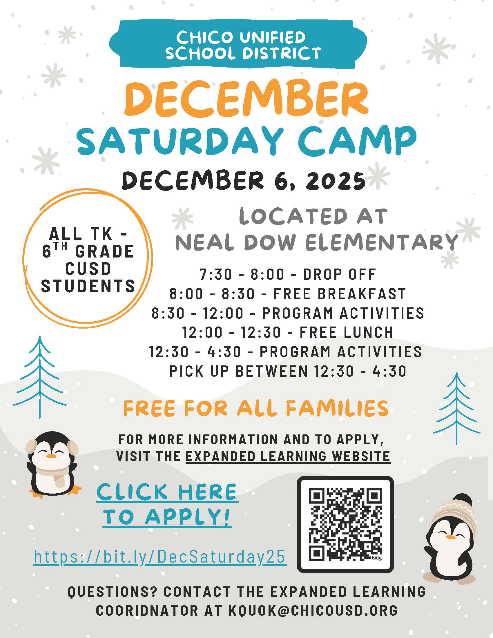 Poster with penguins announcing camp