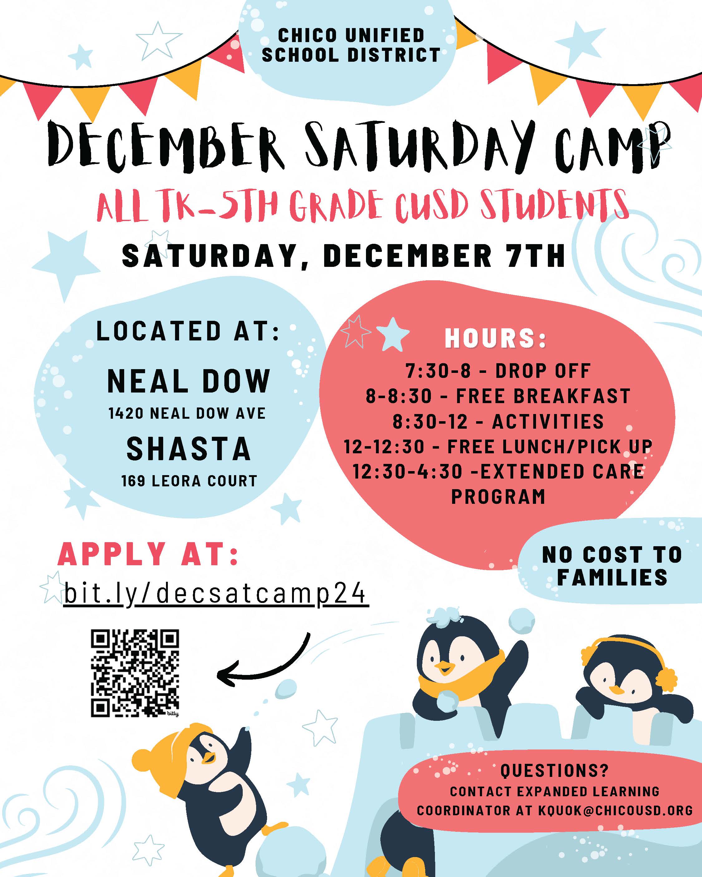Poster with penguins announcing camp