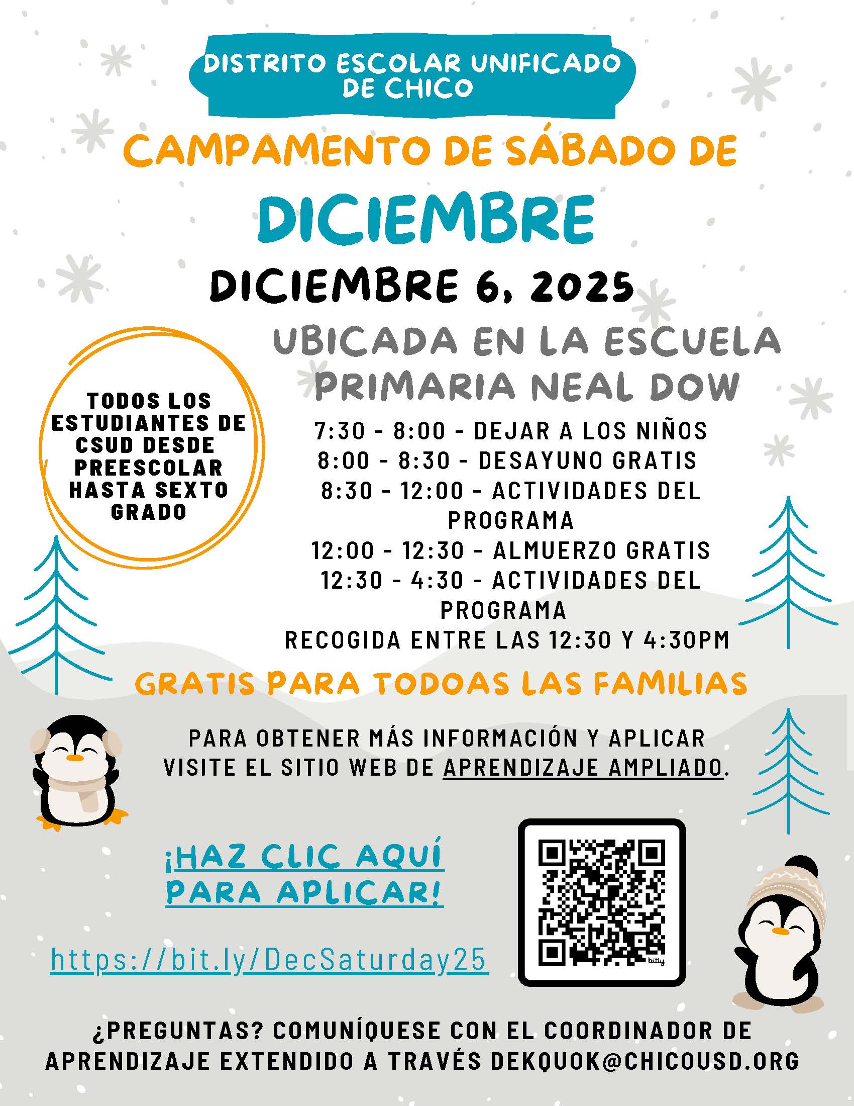 Farsi Flyer Saturday Camp