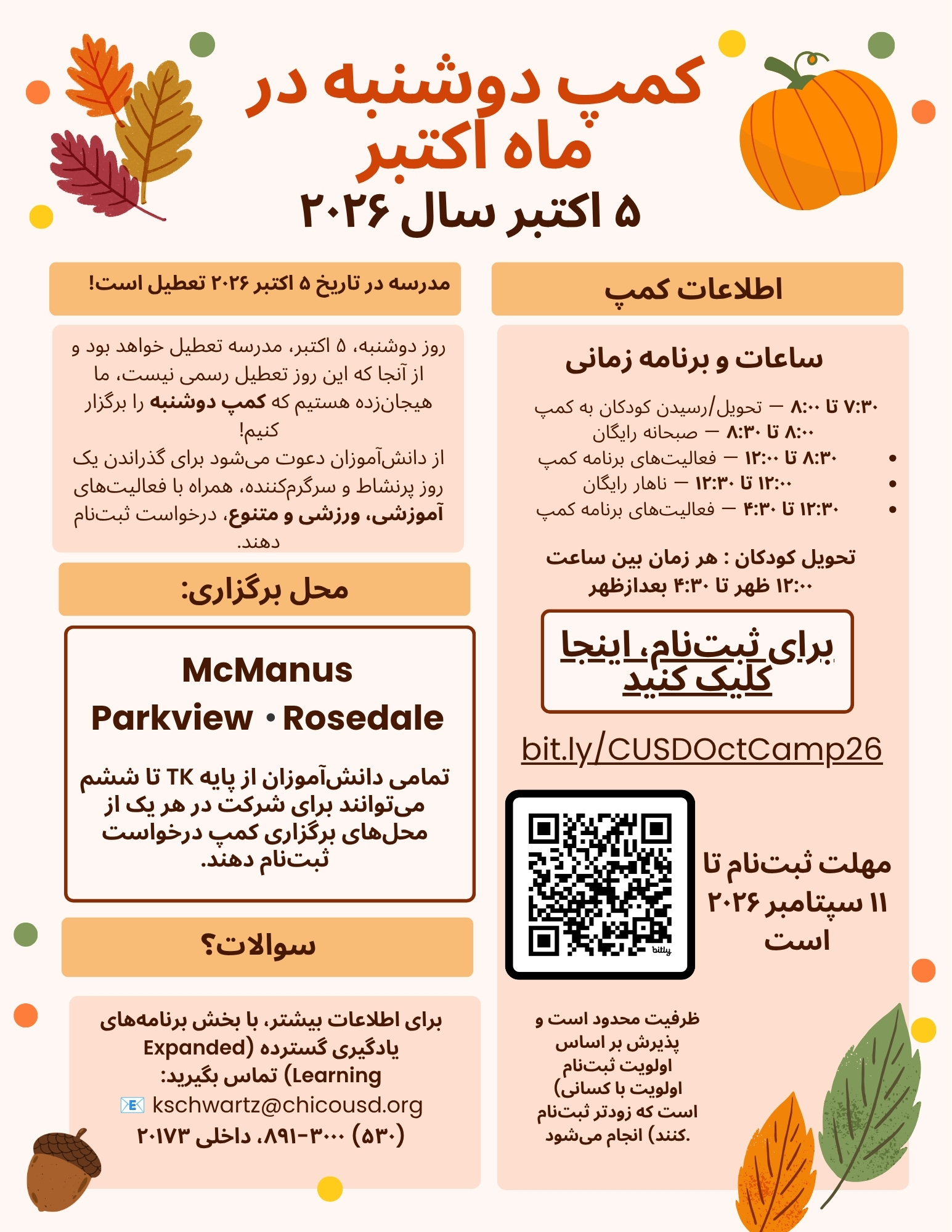 Farsi Dec Sat Camp Flyer