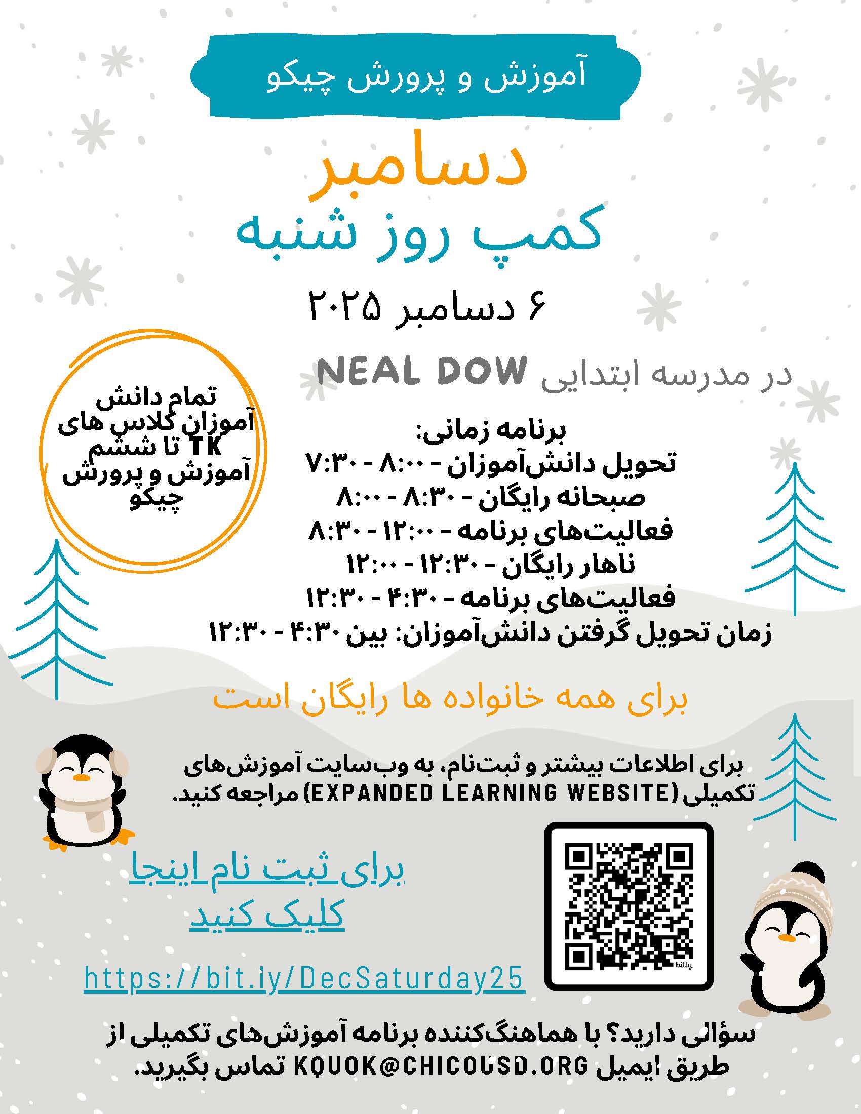 Farsi Dec Sat Camp Flyer