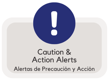Caution and Action Alert Icon
