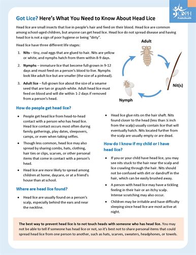 Headlice Information Flyer for the California Department of Public Health